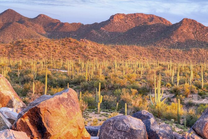 Saguaro National Park East E-Bike Tour - Good To Know