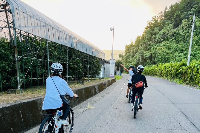 Sakurajima Sunrise E-bike Tour - Key Points