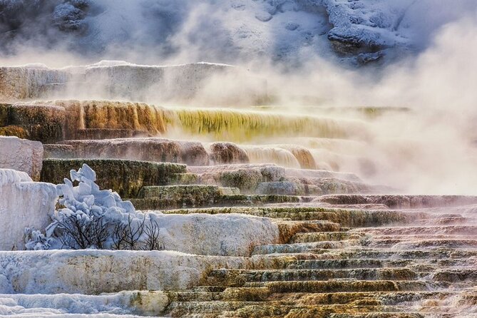 Salt Lake City-Grand Teton Tour Review - Overview of the Salt Lake City-Grand Teton, Yellowstone National Park 4-Day Tour
