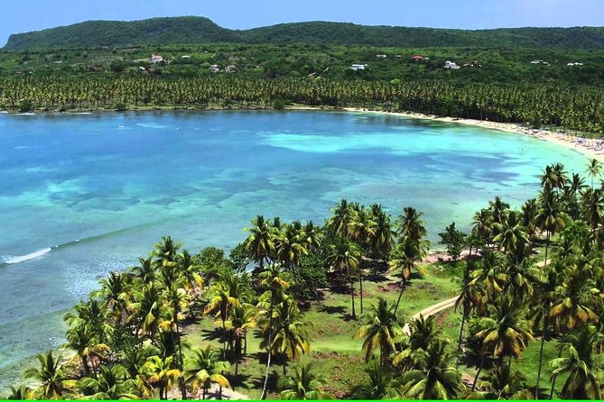 Samana Full Day Trip From Punta Cana - Key Points