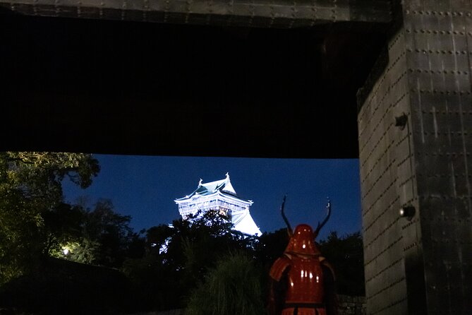 Samurai-Specific Osaka Castle Guides Private Tours in Armor Photo - Good To Know