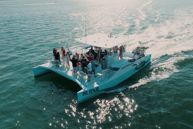 San Diego Harbor Cruise Review: Experience the Bay - Overview of San Diego Harbor Cruise