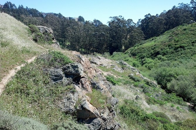 San Franciscos Glen Park and Glen Canyon: A Self-Guided Tour - Key Points