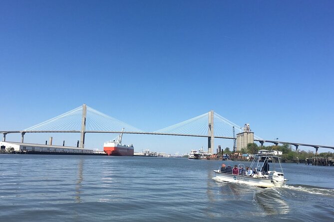 Savannah Coastal Dolphin Eco Tour Review - Tour Overview