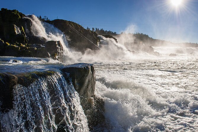 Scenic 2-Hour River Cruise to the Majestic Willamette Falls! - Good To Know