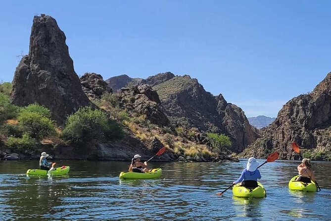 Scenic Guided Kayaking Tour on Saguaro Lake Review - Overview of the Tour