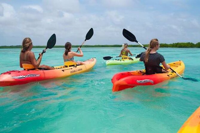Sea Kayak Discovery Day - Key Points