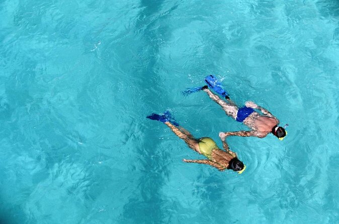 Secret Harbour Snorkel Trip From Cruise Ship - Key Points