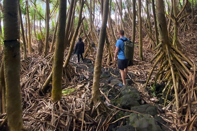 Secret Jungle Tide Pool Hike - Private - Good To Know