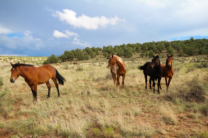 Sedona Private Custom Tour Review - Good To Know