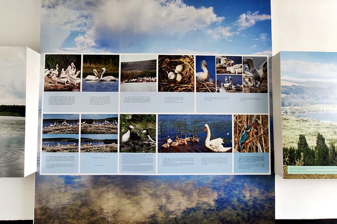Self-Guided Birdwatching in Srebarna Reserve - Overview of Srebarna Reserve