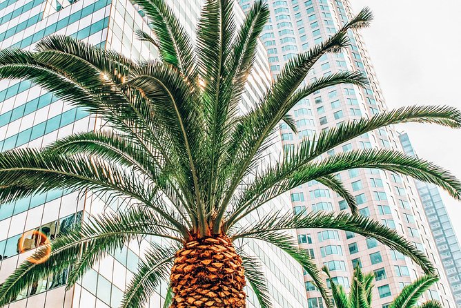 Self-Guided Tour of Downtown Los Angeles With Fun Facts and Best Photo Ops - Tour Overview and Highlights