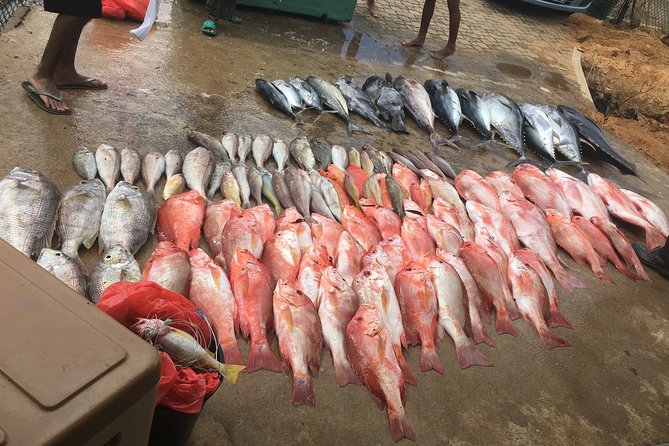 Seychelles Big Game Fishing - Key Points