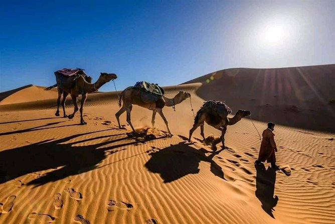 Shared 3 Day Desert Safari Experience Tour From Marrakech to Merzouga - Key Points