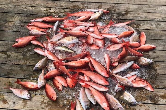 Shared Deep Sea Fishing Trip - Key Points