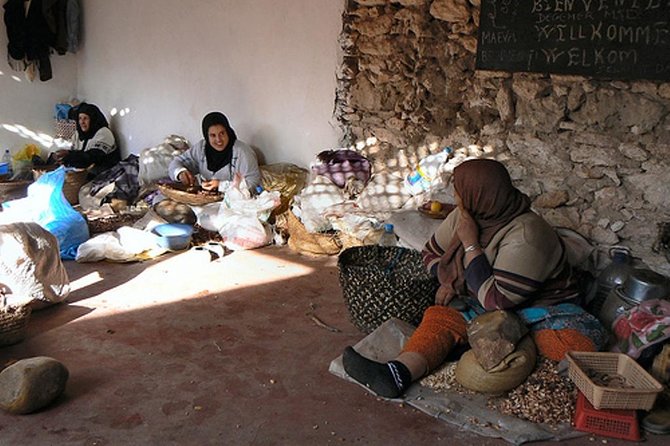Shared Group Day Trip From Marrakech to Essaouira Mogador - Key Points