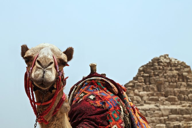 Shared Small Group Day Trip to Agafay Desert & Camel Ride - Trip Itinerary