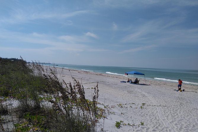 Shelling on Don Pedro Island 6hr Trip Review