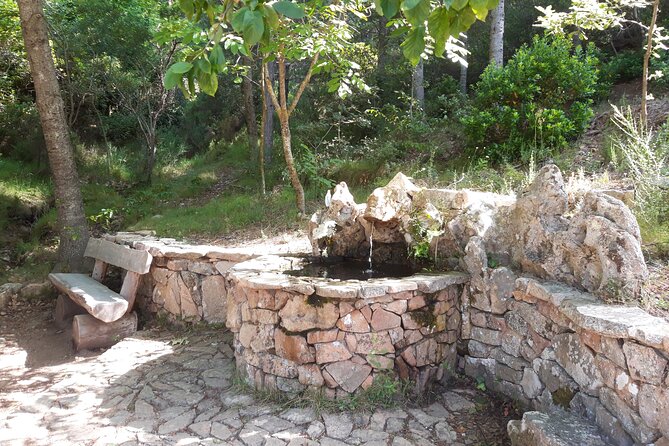 Shepherds' Tracks Through Forests and Natural Springs - Key Points