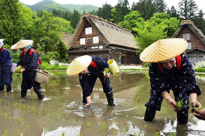 Shirakawago Day Trip: Government Licensed Guide & Vehicle From Takayama - Good To Know