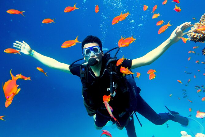Shore Dives in Sharm El Sheikh Red Sea - Location Overview