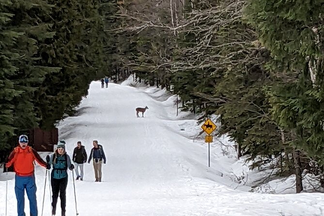 Shuttle to Snoqualmie Pass Ski and Snowboard