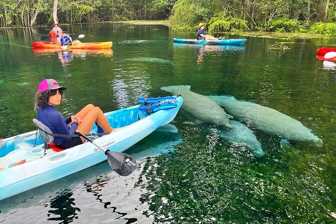 Silver Springs Kayak Rental Review: An Adventure Awaits - Good To Know