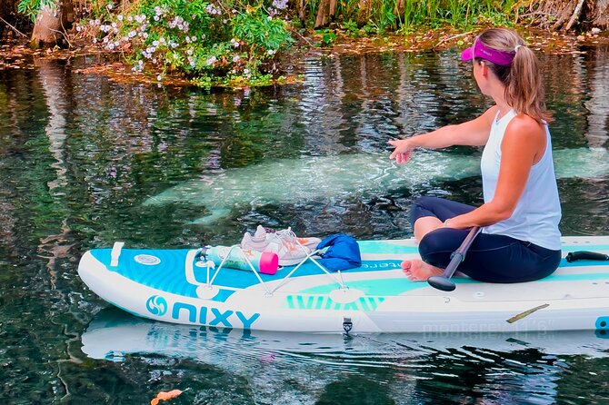 Silver Springs Paddle Board Adventure - Overview