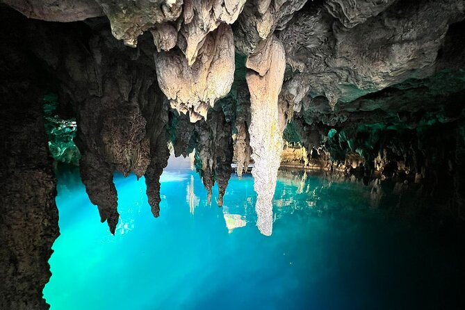 Single ATV, Horseback Riding, Ziplines and Cenote Swim - Safety Guidelines