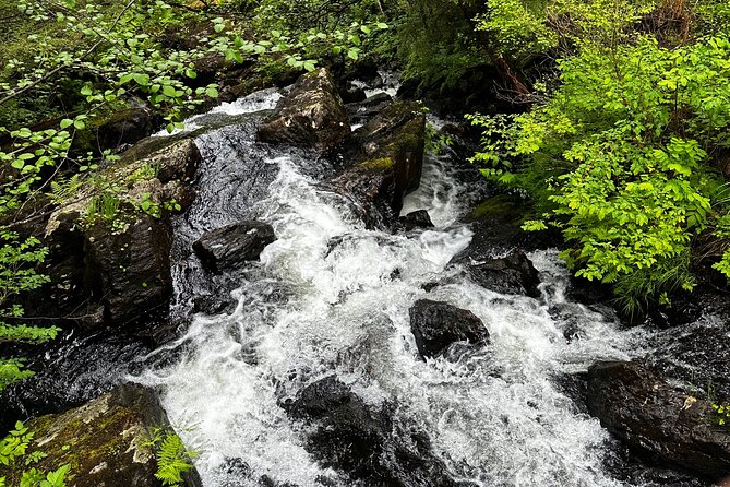 Sitka Private Adventure 4x4 Truck Tour Review - Booking and Cancellation Policy
