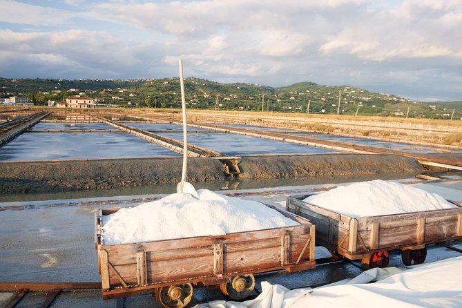 Skocjan Caves & Secovlje Salt Pans | Private off Cruise Excursion From Koper - Key Points