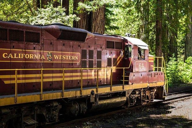Skunk Train: Wolf Tree Turn From Willits - Good To Know