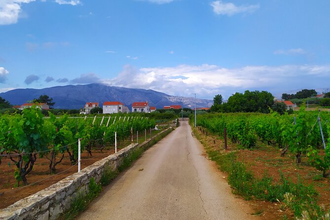 Slurp of Grk Wine Tour - Key Points