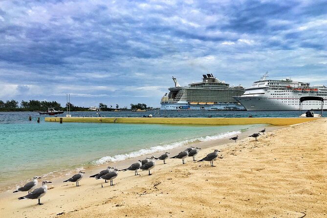 Small Group Fort Lauderdale & Palm Beach Tour Review