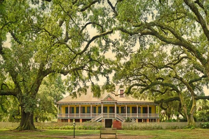 Small-Group Laura and Whitney Plantation Tour From New Orleans - Good To Know