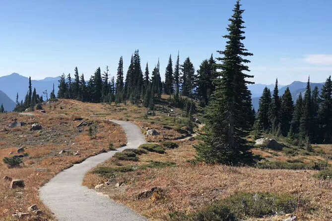 Small Group Mt Rainier National Park Day Tour From Seattle 2CANGO - Good To Know