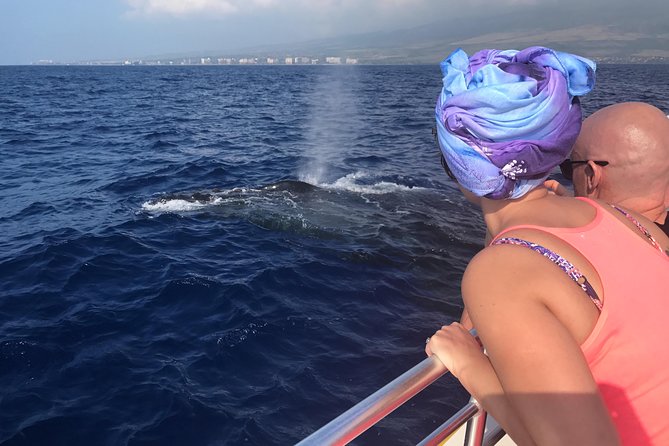 Small-Group Whale Watching Adventure - Good To Know