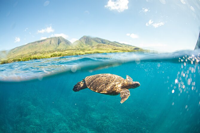 Snorkel Sail Adventure off Kaanapali Beach, Maui - Key Points