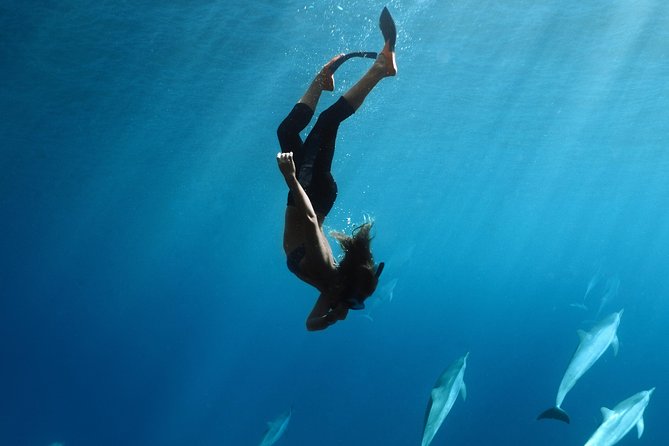 Snorkel Vessel Review: Private 3-Hour Adventure - Tour Overview and Highlights
