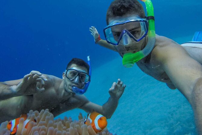 Snorkeling Paddle Private Catamaran 1/2 Day Turks and Caicos Islands - Key Points