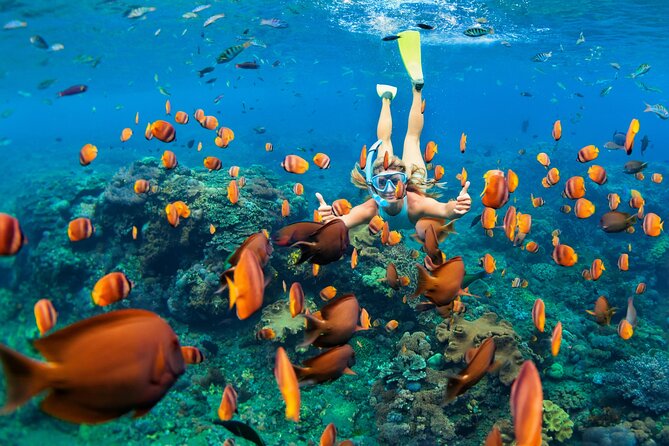 Snorkeling Private Tour in San Juan - Key Points