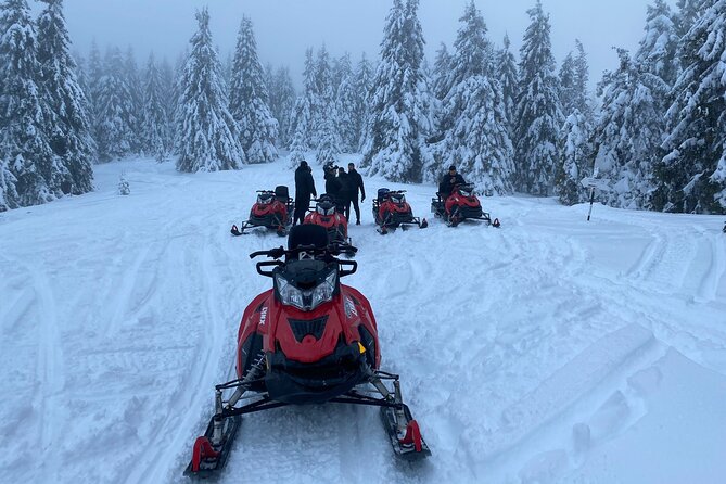 Snowmobile Tour on the Mountains From Brasov - Tour Overview