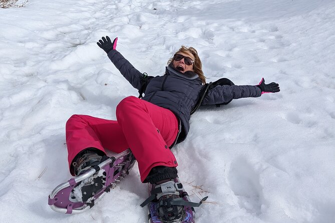 Snowshoe Tour Big Bear Lake Review - Good To Know