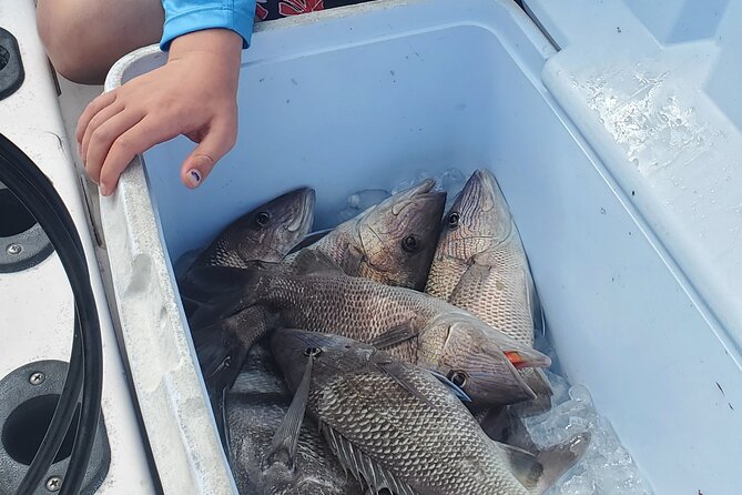 Sonnys Boat Tours Half Day Fishing Charter Review - Tour Overview