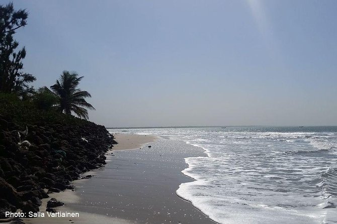 South Gambia Tour - Fishing Village and Paradise Beach - Key Points