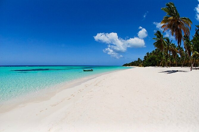 Speedboat Tour to Toro Beach and Turtle Sanctuary - Small Group - Key Points