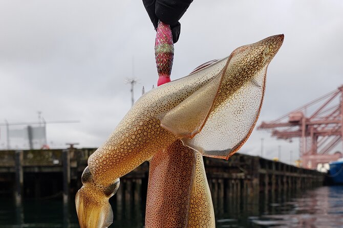 Squid Fishing on Private Guided Boat in Seattle City Waterfront - Unique Squid Fishing Experience