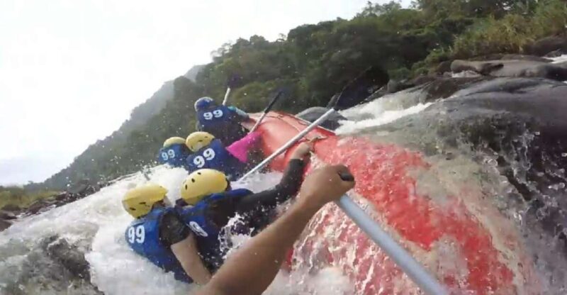 Sri Lanka Rainforest Trekking, Wildlife Safari, Water Sport - Good To Know