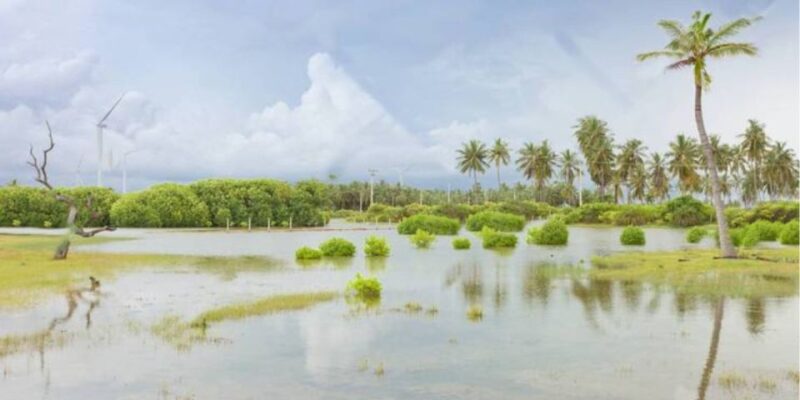 Sri Lankas Spectacular 7-Day Hideaway Experience - Good To Know