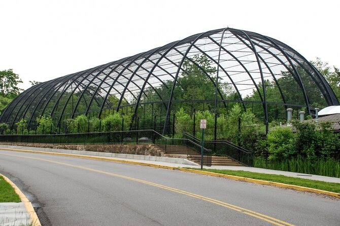 St. Louis Zoo Hunt: Adventure at the St. Louis Zoo - Key Points